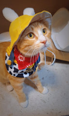 Conjunto de sheriff vaquero