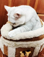 Haustiertransportbox in Elchform