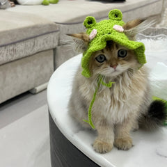 Frog Knit Hat