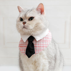 Gentleman Cat Plaid Bowtie