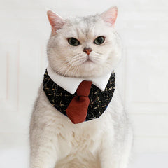 Gentleman Cat Plaid Bowtie