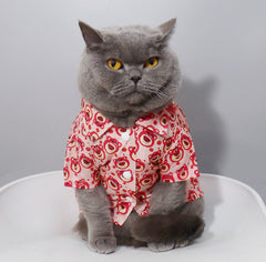 Lotso huggin bear Cat Shirt