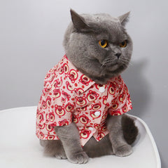 Lotso huggin bear Cat Shirt