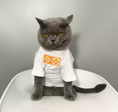 Luxury Cat T - shirt