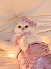Pink Mermaid Cat Costume