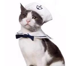 Navy Nautical Cat Sailor Outfit