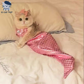 Pink Mermaid Cat Costume