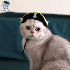 Sombrero de gato pirata
