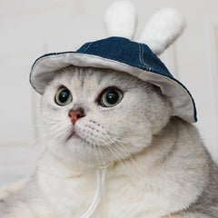 Lindo sombrero de conejo y gato
