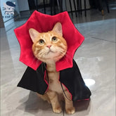 Vampire Cat Cape