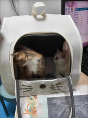 Mochila de viaje para gatos