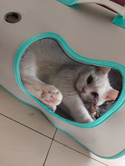 Stylish Pet Carrier Bag