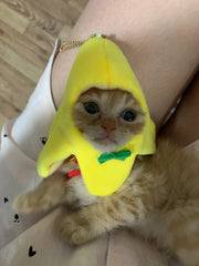 Banana Cutie Cat Costume