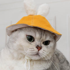 Lindo sombrero de conejo y gato