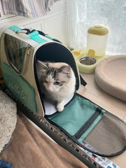 Stylish Pet Carrier Bag
