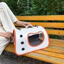 Stylish Pet Carrier Bag