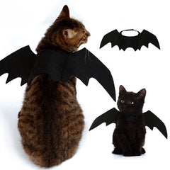 Bat Wing Cat Costume