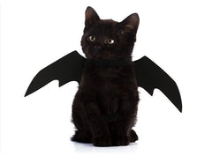 Bat Wing Cat Costume