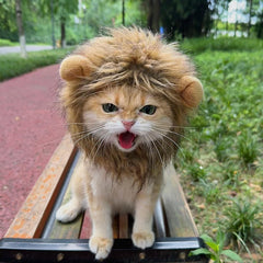 Lion Headgear