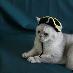 Sombrero de gato pirata
