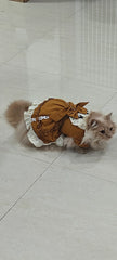 Late Autumn Princess Cat Dress