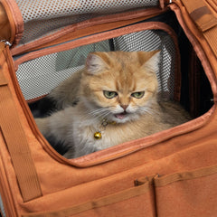 Portable and Breathable Pet Cat Carrier