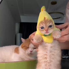 Banana Cutie Cat Costume