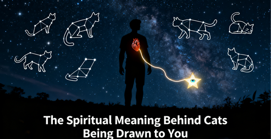 Why Am I a Cat Magnet? The Spiritual Meaning Behind Cats Being Drawn to You