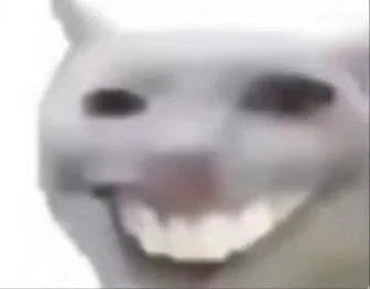 Cat Meme Dispatch #13