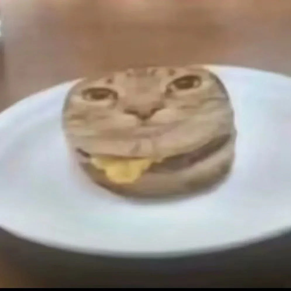 Cat Meme Dispatch #5