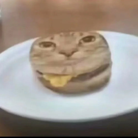 Cat Meme Dispatch #5