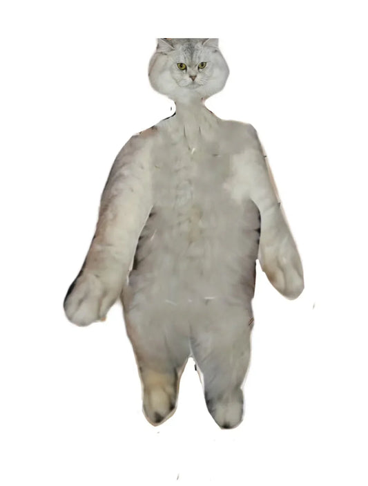 Cat Meme Dispatch #8