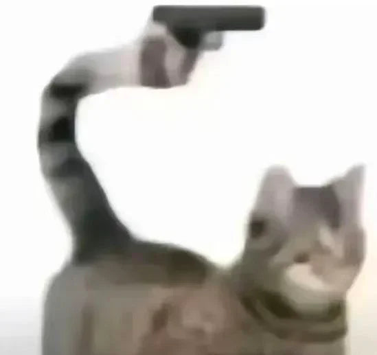 Cat Meme Dispatch #9