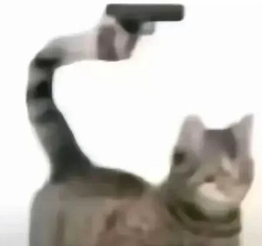 Cat Meme Dispatch #9