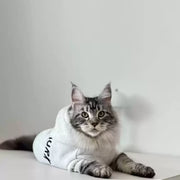 "Cool Cat" Casual Hoodie for Cats