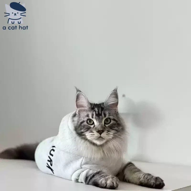 Sudadera informal con capucha "Cool Cat" para gatos
