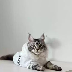 "Cool Cat" Casual Hoodie for Cats