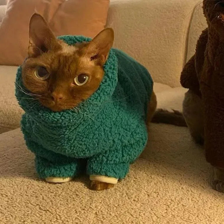 Suéter de cuello alto con diseño de gato acogedor