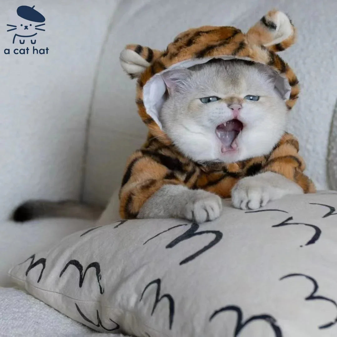 Costume Chat à Capuche Style Tigre