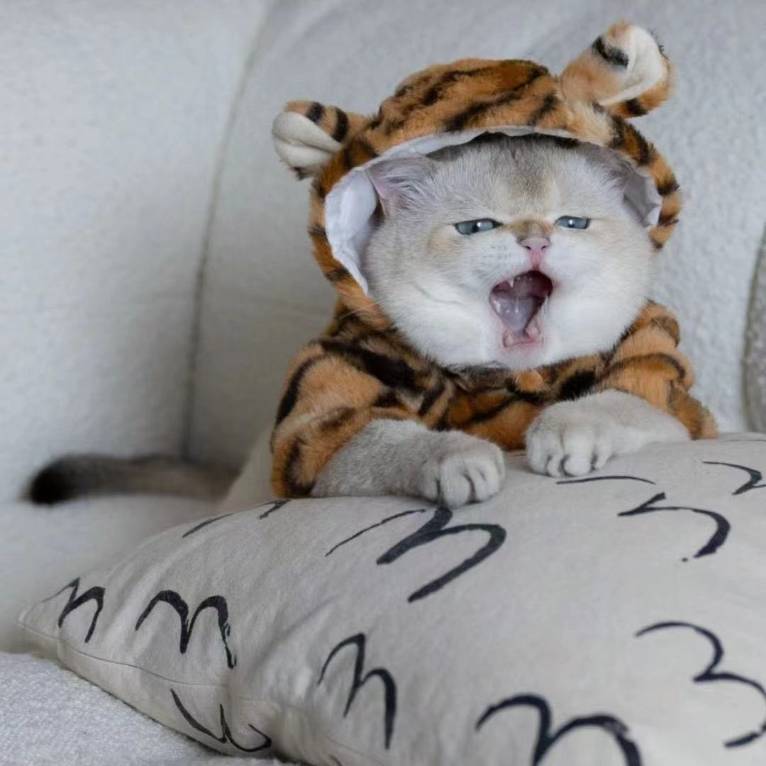 Tiger Style Hooded Cat Costume