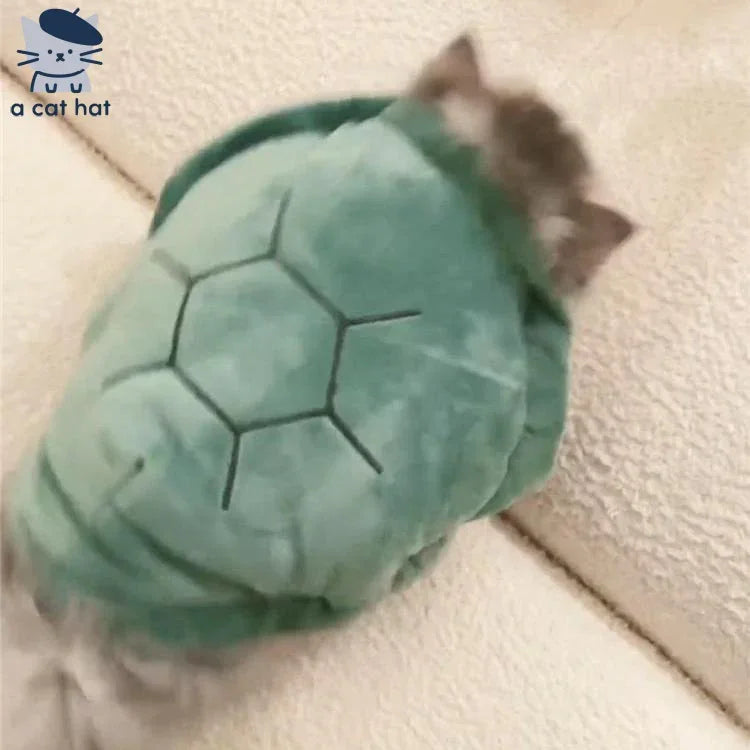 Kleidung aus Schildkrötenpanzer