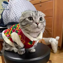 Chaqueta de gato con estampado floral de estilo folklórico chino
