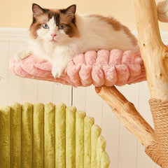 Flower Cloud-Top Fruitwood Cat Tree