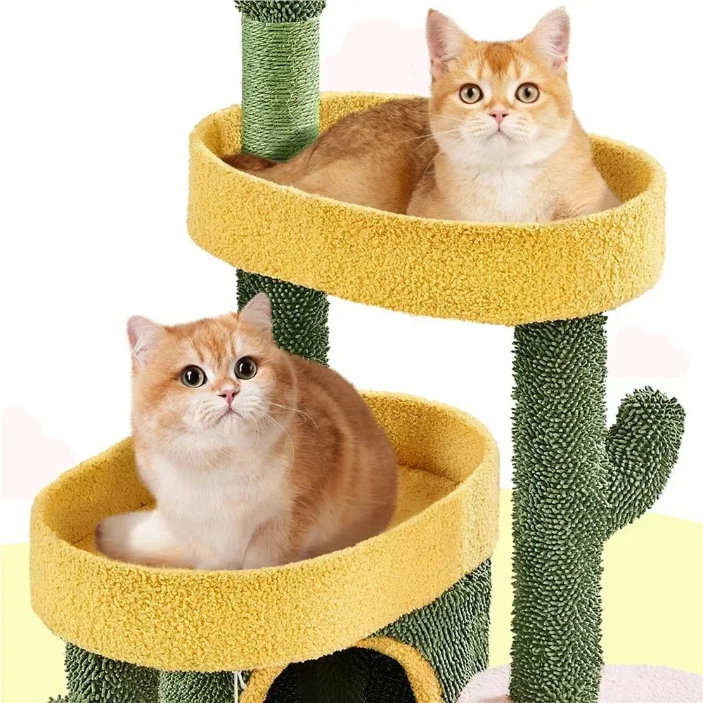Niedlicher Katzenbaum aus Sukkulentenkaktus