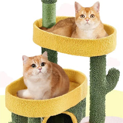 Cute Succulent Cactus Cat Tree