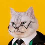 Conjunto de capa de gato de Harry Potter