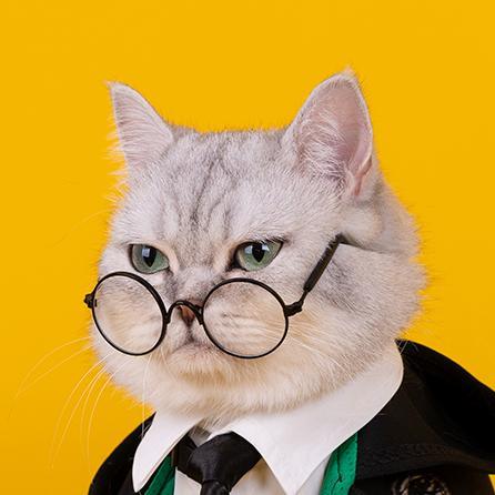 Conjunto de capa de gato de Harry Potter