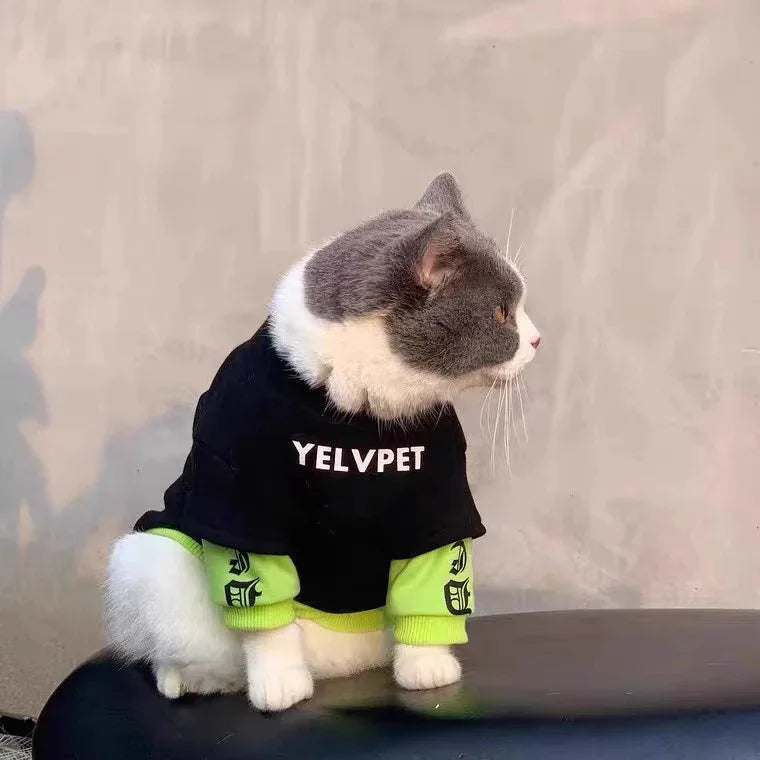 Sudadera Urban Cat