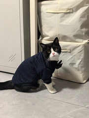 Gentleman Paws gestrickte Katzenkleidung