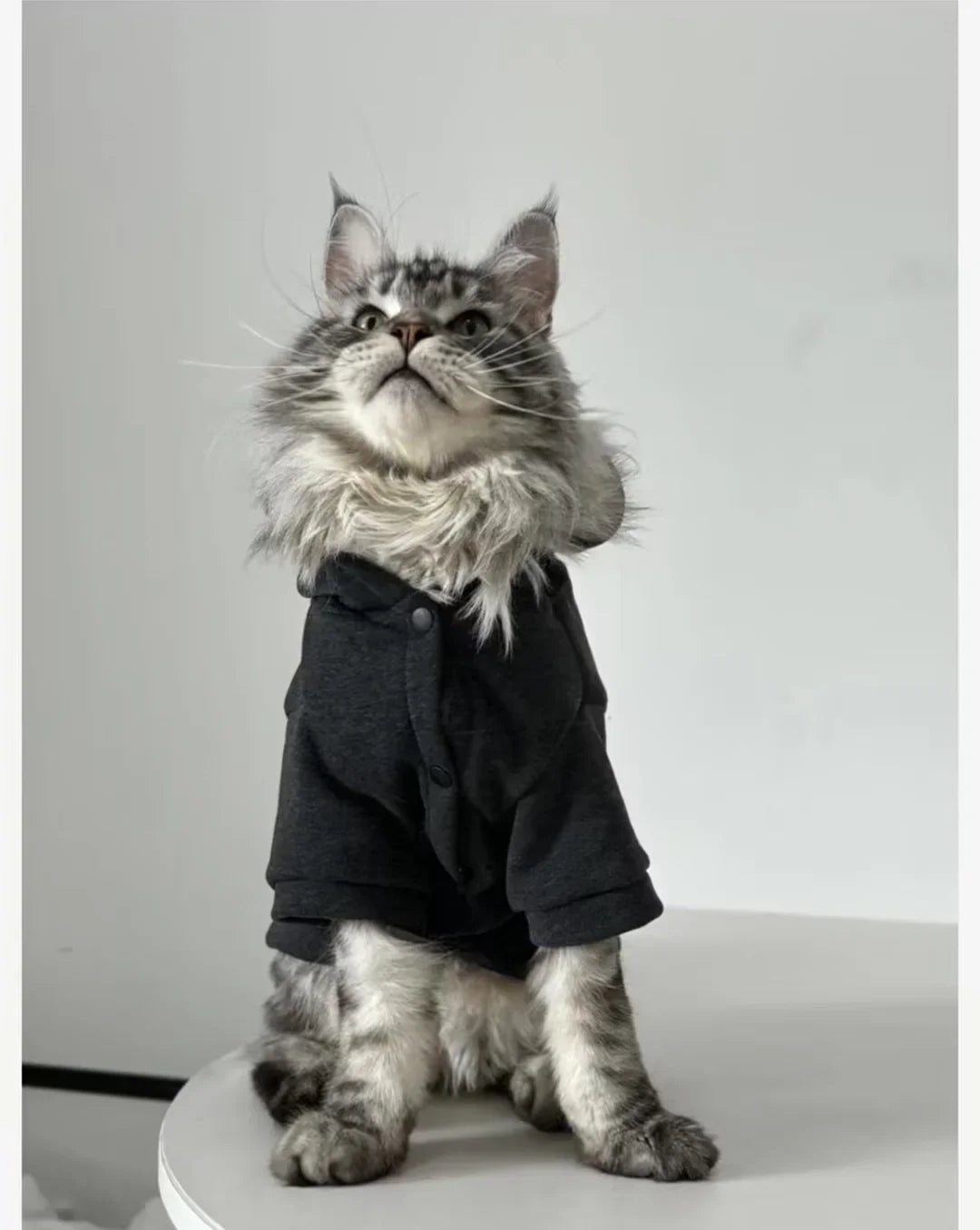 Sleek Black Cat Hoodie